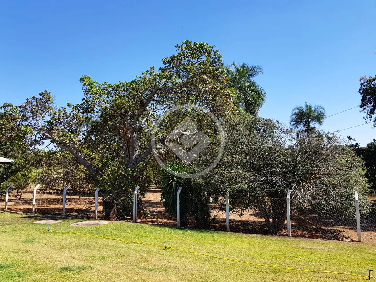 Fazenda à venda com 3 quartos, 400m² - Foto 18